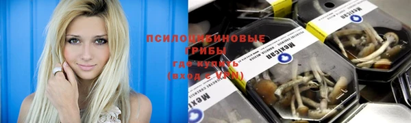 ECSTASY Семикаракорск