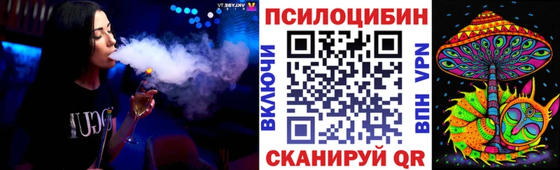 Псилоцибиновые грибы Psilocybine cubensis Котельники